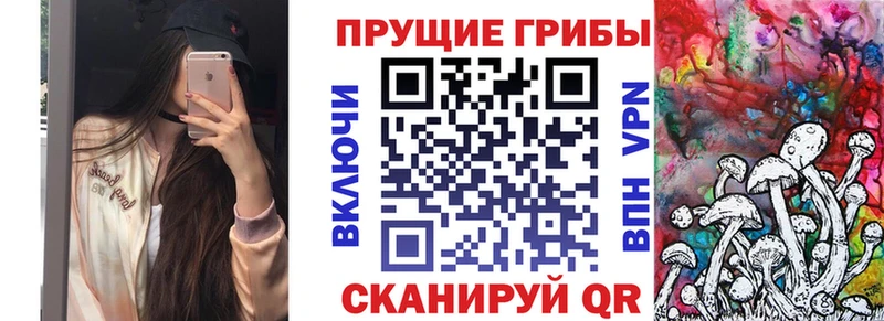 Псилоцибиновые грибы Psilocybe  Медногорск 